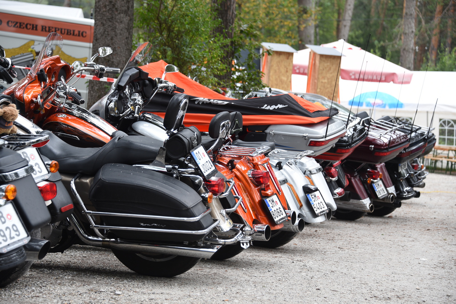 DSC_0602.JPG